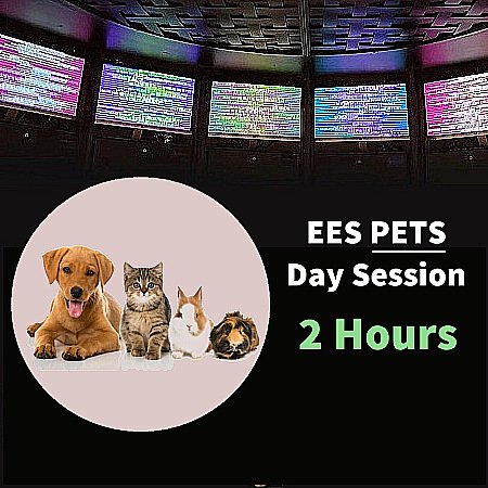 Pets EESystem 2 Hour Session