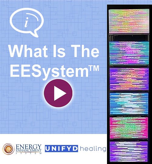 What Is The EESystem What Is The EESystem
